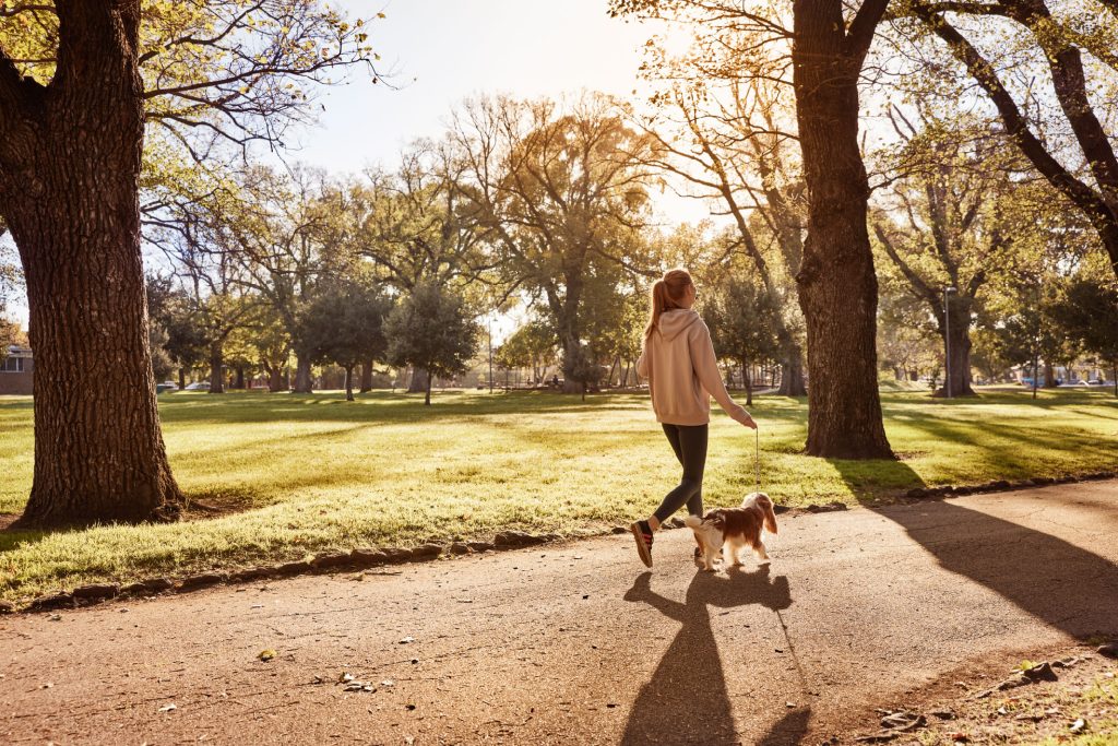 Stroll in the park near Fitzroy & Co