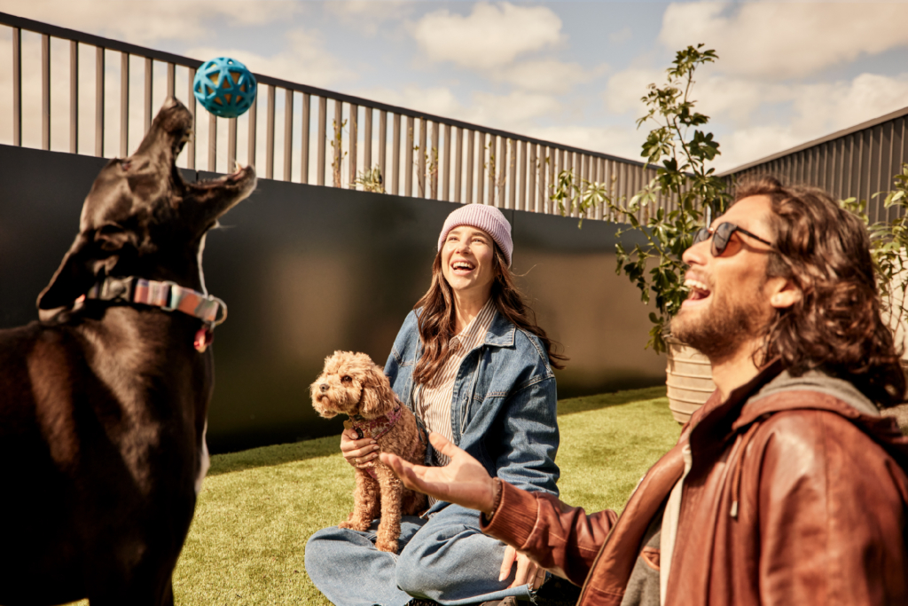 Pet Park